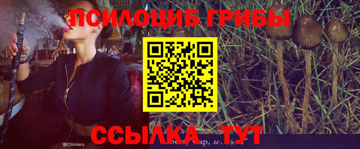 Псилоцибиновые грибы мицелий  Вход с VPN  Нижнеудинск 